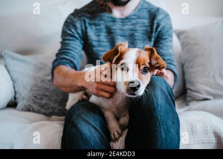 Cute dog resting on man lap while sitting on sofa at home Stock Photo