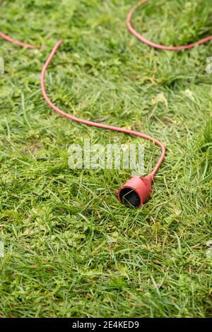 Extension cord lying on green grass Stock Photo