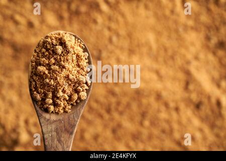 Panela or rapadura - healthy sweetener made by evaporating sugercane juice, on a wooden spoon with copy space Stock Photo