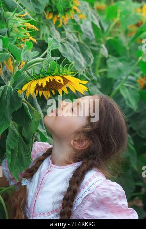 Cute little girl playing with sunflower in summer field Stock Photo