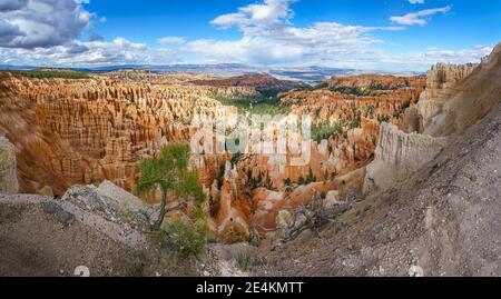 hiking the rim trail in the bryce canyon national park in utah in the usa Stock Photo
