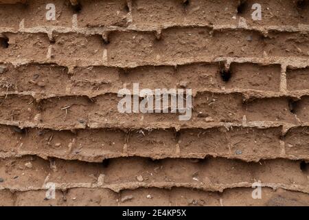 Texture of old adobe bricks, worn and with holes, in the channel of Trabas, near Tauste, region of Cinco Villas, Aragon, Spain. Stock Photo