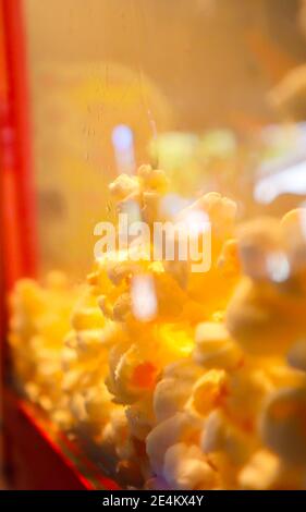 Cape Town  South Africa- 01-01-2020 Tasty buttery popcorn, grouped together in red popcorn machine. Gives a warm wholesome feeling. Stock Photo
