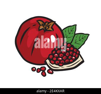 Whole pomegranate with half, leaves isolated on white background. Vector illustration Stock Vector