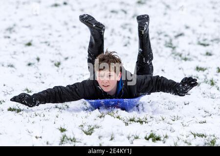 Chippenham, Wiltshire, UK. 24th January, 2021. As Chippenham residents wake up to their first snow of the year, a boy enjoying the snow before it thaws is pictured in a local park in Chippenham as he speeds down a hill on a sledge. Credit: Lynchpics/Alamy Live News Stock Photo