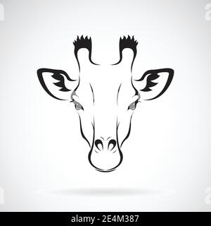 Vector of a giraffe head design on white background. Wild Animals. Vector illustration. Stock Vector
