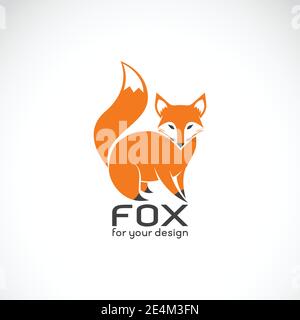 Vector of fox design on white background. Wild Animals. Fox logos or icons. Easy editable layered vector illustration. Stock Vector