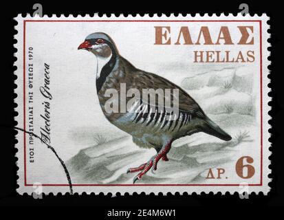 Stamp printed in Greece shows rock partridge (Alectoris graeca), series European Nature Conservation Year, circa 1970 Stock Photo