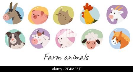 Cute farm animals with face expressions, domestic animal avater collection, cow, sheep and pig illustrations for badges Stock Vector