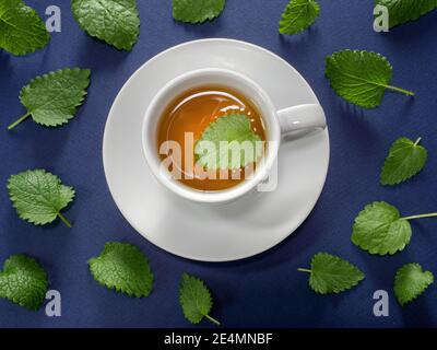 White cup of mint tea with meant leaves on blue background. Overhead shot. Stock Photo