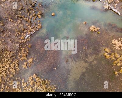 Hovering over a partially frozen wetland Stock Photo