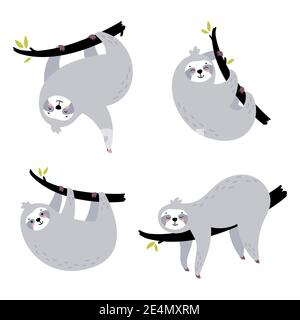 Set of cute hand drawn sloths hanging on the tree. Stock Vector