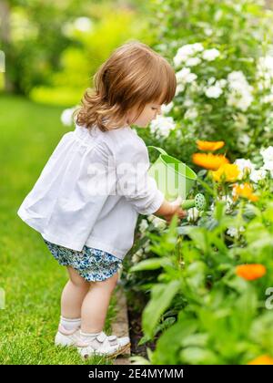 on a summer day, a little girl takes care of flowers in the garden, watering roses in a flower bed Stock Photo