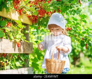 on a summer day, a little girl takes care of flowers in the garden, watering roses in a flower bed Stock Photo