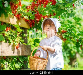 on a summer day, a little girl takes care of flowers in the garden, watering roses in a flower bed Stock Photo