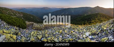 Summer evening Carpathian mountain stony slope panoramic view in last sunset sunlight. Vysoka Mountain, Gorgany Carpathian massive, Ukraine. Stock Photo