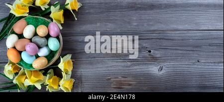 Happy Easter holiday background with traditional basket filled of colorful eggs and green grass plus daffodil flowers on rustic wooden planks Stock Photo