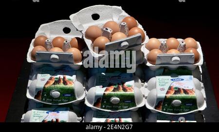 Half a dozen chicken eggs in an open eggbox with egg boxes stacked on top of each other. Isolated on black background. Stock Photo