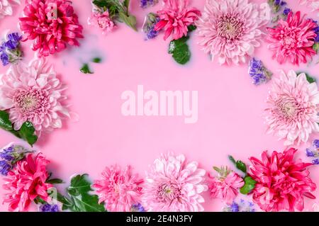 Frame of Chrysanthemum or mums flowers floating in pink milk water bath. Beauty spa, relaxation and wellness treatment. Youth and beauty concept. Tend Stock Photo