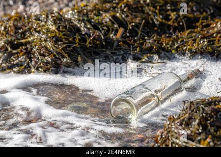 A message in a bottle in foamy water at the edge of the ocean. Seaweed around the bottle. Sunny day, bottle lying on its side. Stock Photo