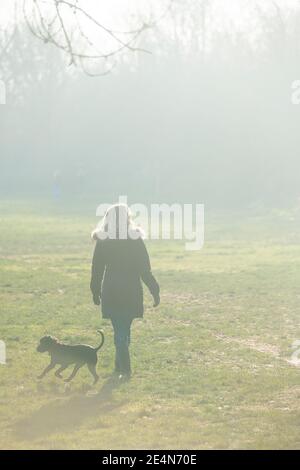 A womn walks her dog on a sunny day in a Lonon park durking lockdown Stock Photo