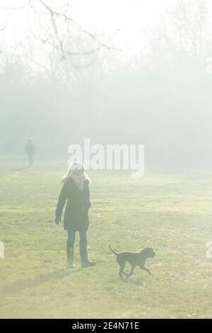 A womn walks her dog on a sunny day in a Lonon park durking lockdown Stock Photo