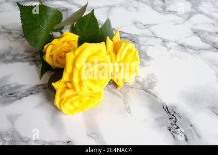 Yellow roses on white marble background. marble texture with a natural pattern Stock Photo