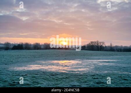 Frosty waterlogged field at sunrise in january. Oxfordshire, England Stock Photo