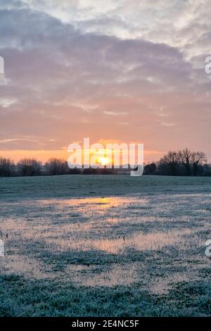 Frosty waterlogged field at sunrise in january. Oxfordshire, England Stock Photo