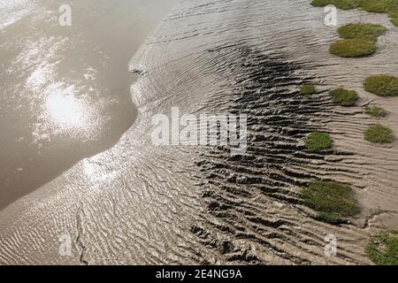 Channels in mud at low tide on the coast at the Severn estuary, Wales, UK Stock Photo