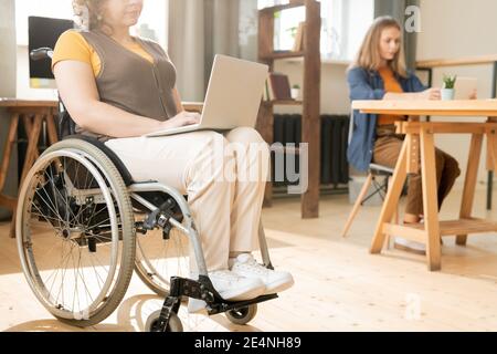 Young disable female office worker with laptop on knees sitting in wheelchair and looking through online data while surfing in the net Stock Photo