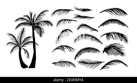 Palm trees. Palm leaves. Vector illustration Stock Vector