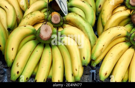 Bunch Of Ripened Organic Bananas At Farmers Market, Thailand Stock Photo,  Picture and Royalty Free Image. Image 88646214.