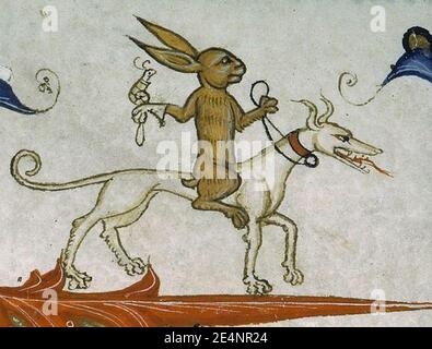 Medieval rabbits (2 Stock Photo - Alamy