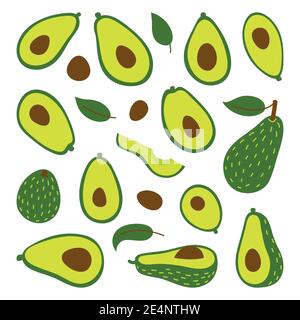 Cooking with avocados vector illustration set. Whole avocado and cut slices isolated on white background. Stock Vector