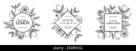 Set of hand drawn vintage lemon frames. Vector illustration in sketch style isolated on white. Print, package, card design. Stock Vector