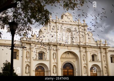Pigeons flying outside the Cathedral in Antigua, Guatemala, Central America Stock Photo