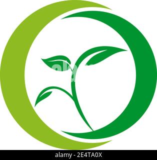 Leaf icon logo design vector illustration template Stock Vector