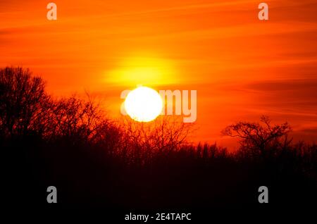 Orange sky in the evening with sun setting behind black silhouette of forest Stock Photo
