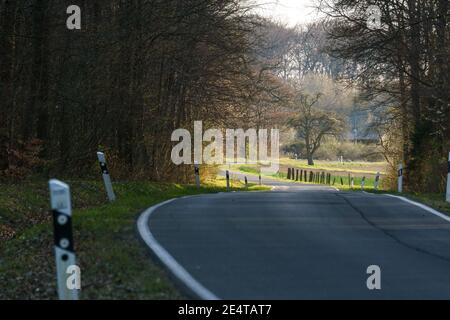 Asphalt road in dark spring forest leading into sunlight Stock Photo