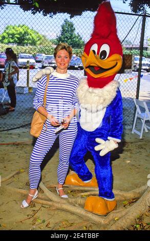Dee Wallace Credit: Ralph Dominguez/MediaPunch Stock Photo - Alamy