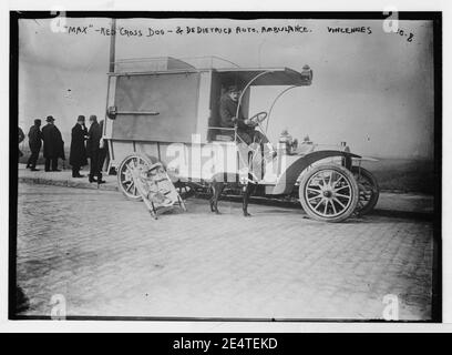 Max - Red Cross dog and Dedietrich Auto, ambulance, Vincennes Stock Photo