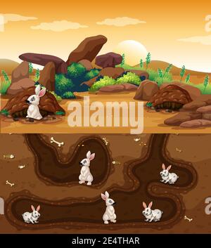 A group of rabbit living underground illustration Stock Vector Image ...