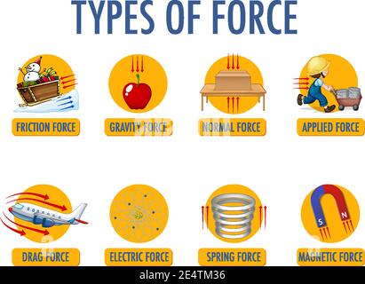 Types of force for children physics educational poster illustration ...