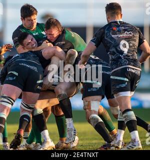 Galway, Ireland. 24th Jan, 2021. Players fights for the ball during the Guinness PRO14 Round 8 match between Connacht Rugby and Ospreys at the Sportsground in Galway, Ireland on January 24, 2021 (Photo by Andrew SURMA/SIPA USA) Credit: Sipa USA/Alamy Live News Stock Photo