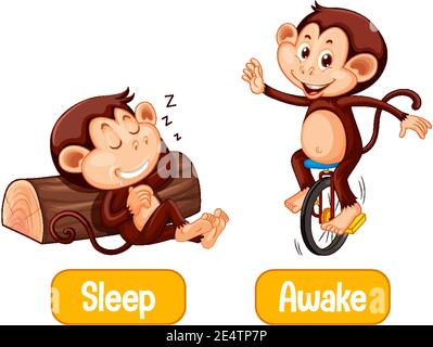 Opposite words with sleep and awake illustration Stock Vector