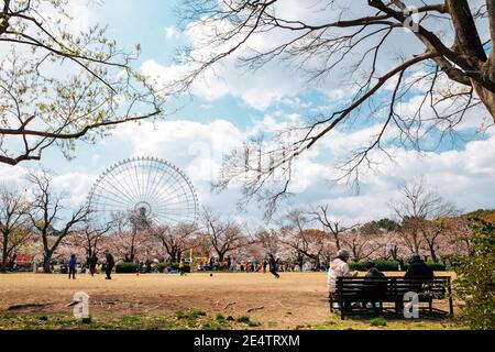 Osaka, Japan - April 3, 2019 : Expo '70 Commemorative Park at spring Stock Photo