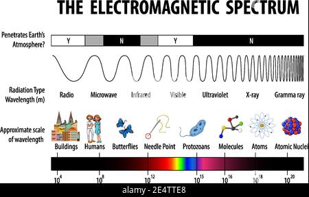 Electromagnetic Spectrum Diagram Design Vector Illustration Stock ...