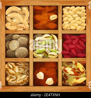 Nuts assorted collection of nutmeg walnut brazil almond in wood box vector illustration Stock Vector