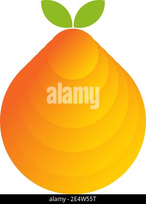 Orange fruit icon logo design vector template Stock Vector